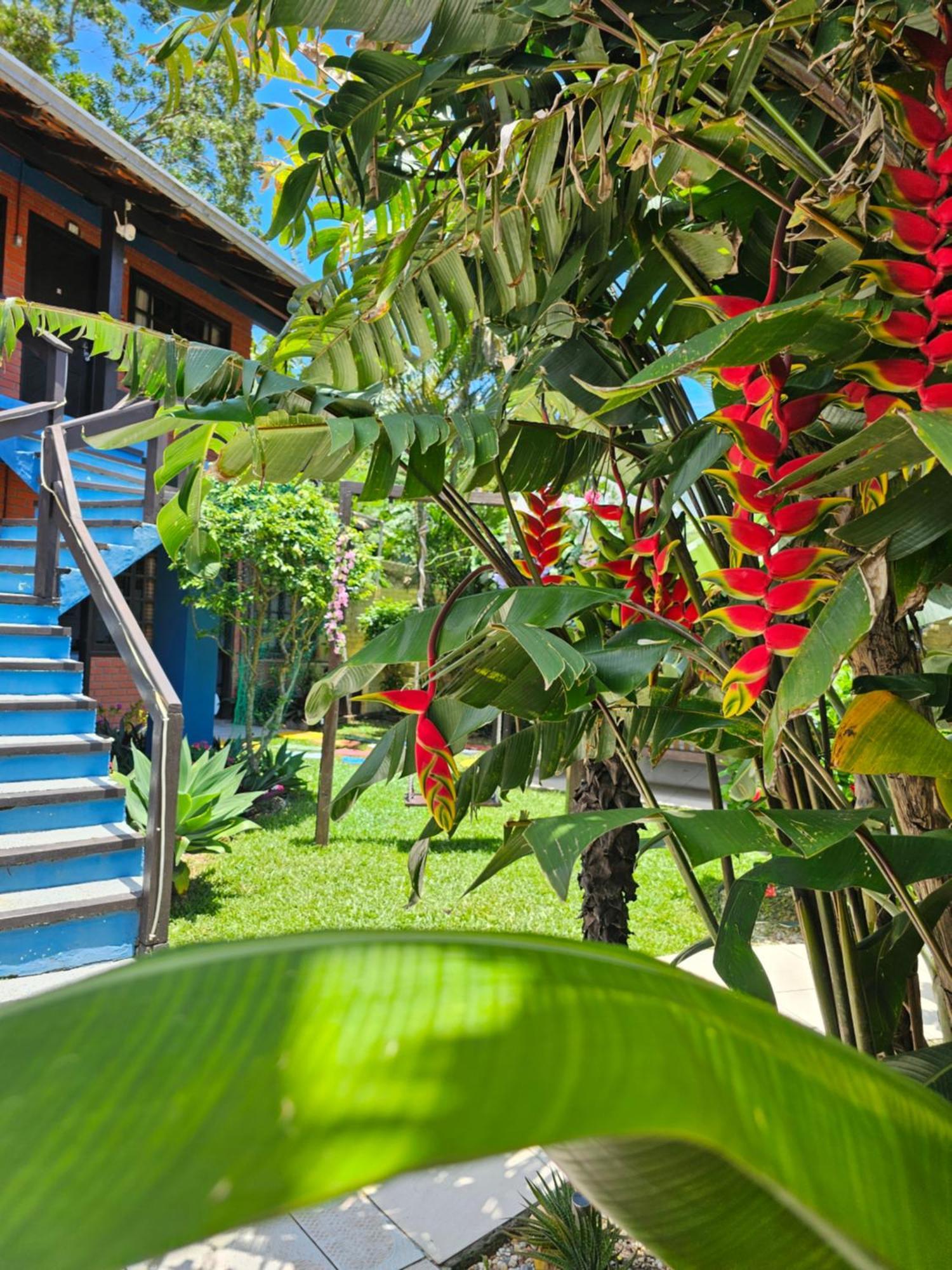 Apartamento Sunshine Residencial Bombinhas Exterior foto